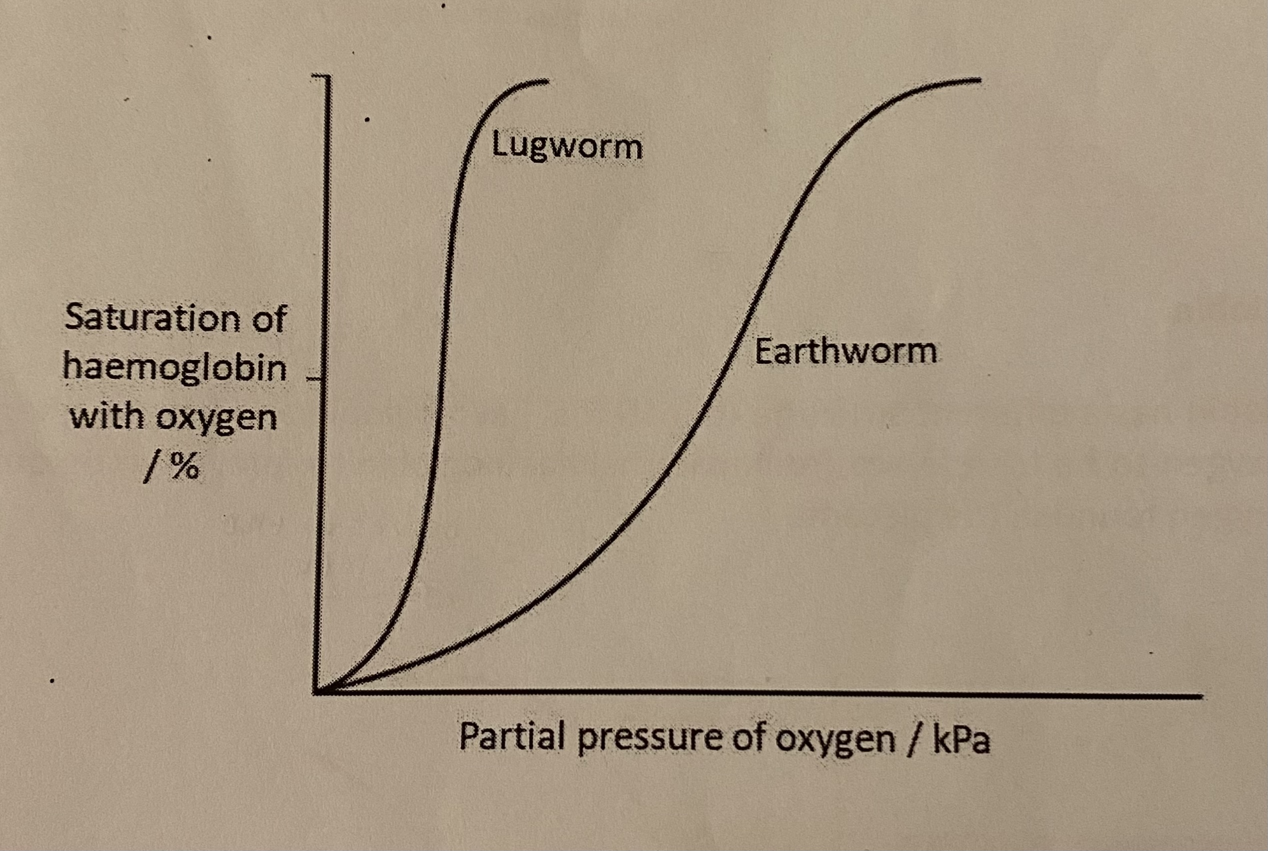<p>describe how the loading of oxygen in the lugworm than in the earthworm</p>