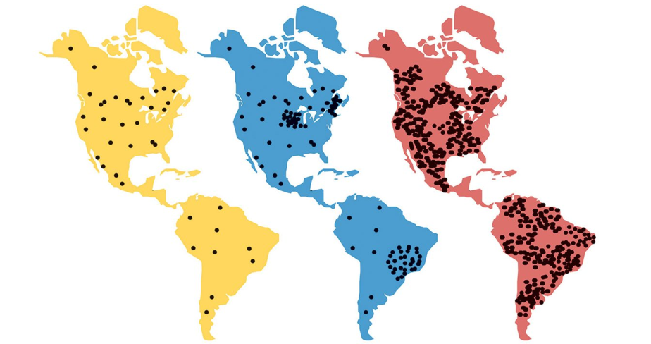 <p>What does the yellow image represent?</p>