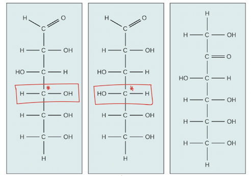 <p>From this image, identify each isomer…</p>