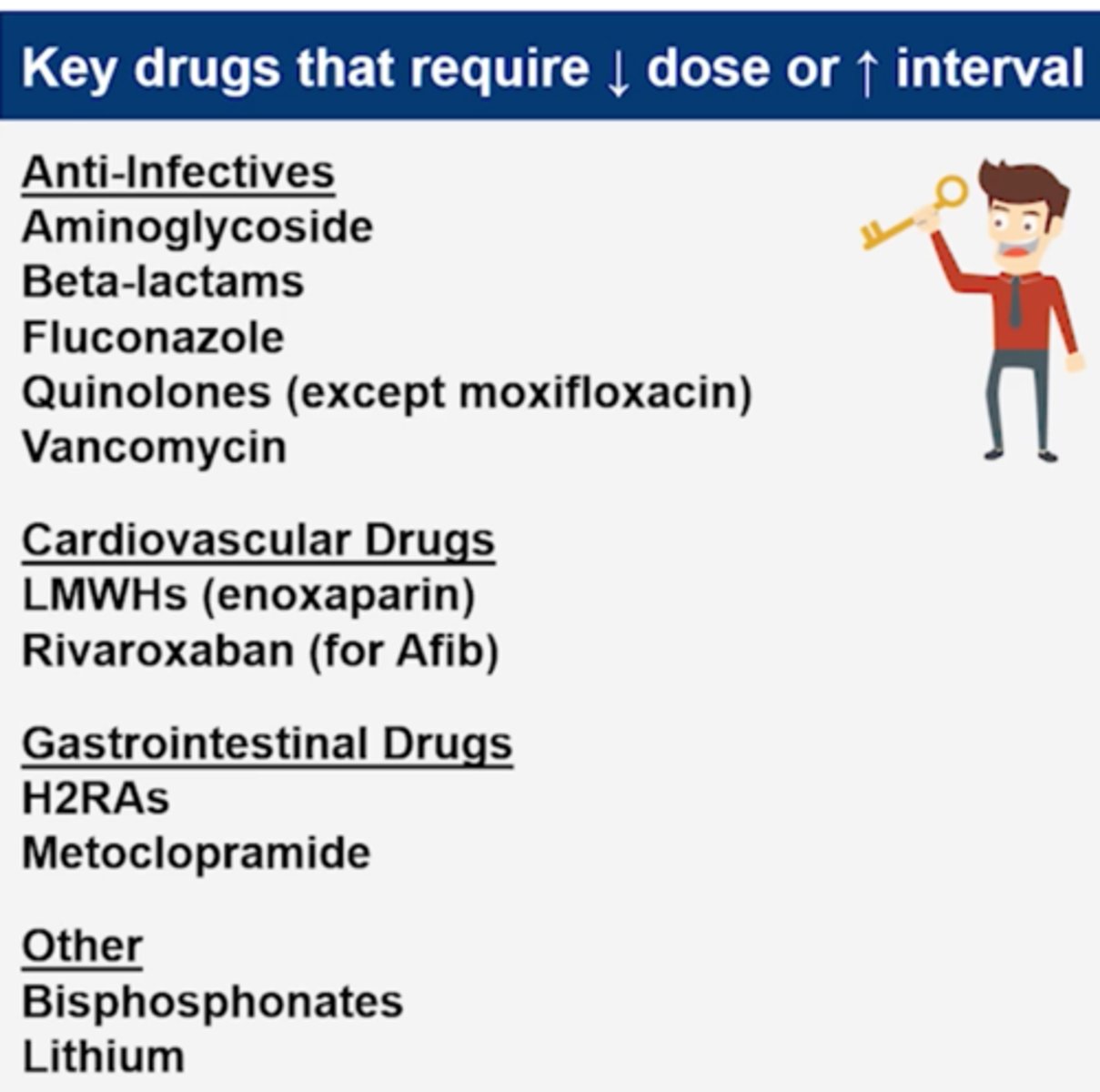 <p>Anti-lnfectives</p><p>+ Aminoglycosides (increase dosing interval primarily - cause nephrotoxicity so give Extended interval) </p><p>+ Beta-lactam antibiotics (most, except antistaphylococcal, these are time dependent so increase dose/interval risk of seizure) </p><p>+ Fluconazole</p><p>+ Quinolones (except moxifloxacin, not cleared through kidney) - risk of seizure</p><p>+ Vancomycin (nephrotoxic)</p><p>Cardiovascular Drugs - BLEEDING RISK</p><p>+ LMWHs (enoxaparin)</p><p>+ Rivaroxaban* (for AFib)</p><p>+ Apixaban* (for AFib)</p><p>+ Dabigatran* (for AFib)</p><p>+ Fondaparinux?</p><p>Gastrointestinal Drugs</p><p>+ H2RAs (famotidine, ranitidine) - CNS effects, thrombocytopenia </p><p>+ Metoclopramide - EPS, Parkinson's like sx</p><p>Other</p><p>+ Bisphosphonates* </p><p>+ Lithium (100% excreted in kidney, can be toxic)</p>