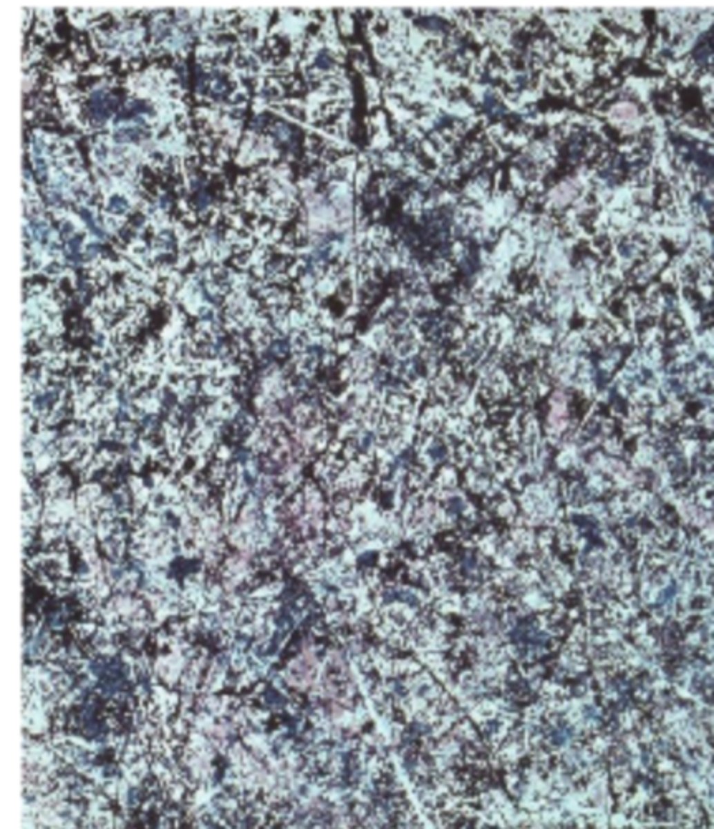 <p>Jackson Pollock, Number 1, Lavender Mist, 1950</p>