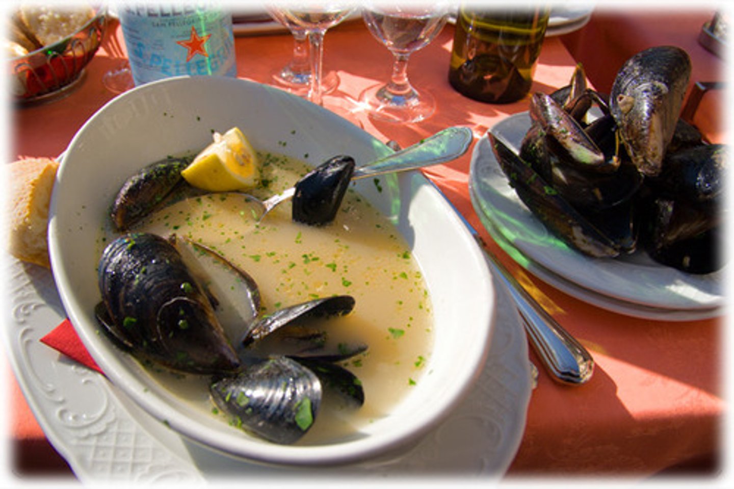 <p>mussels</p>