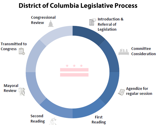 <p>legislative</p>