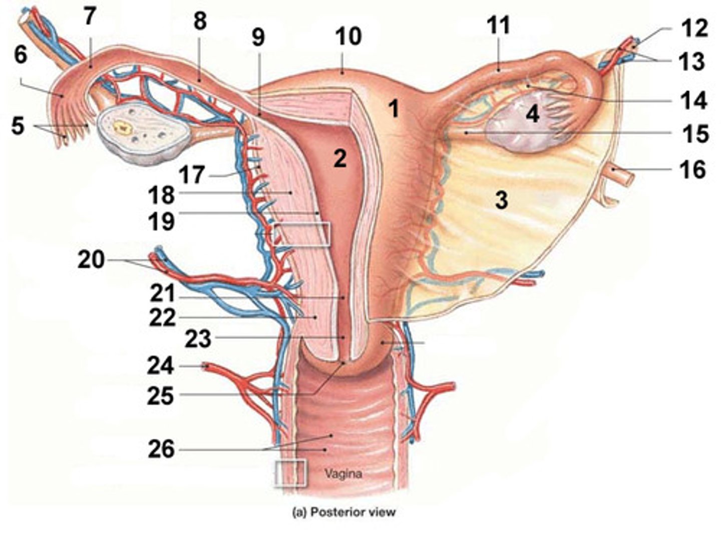 <p>name 7</p>