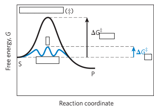 <p>reaction intermediate =</p>