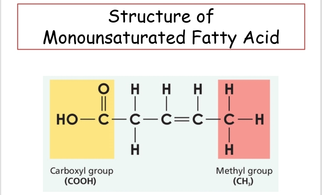 <p>A fatty acid that contains one double bond and is usually liquid at room temperature.</p>