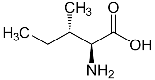 <p>Branched amino acid with a tertiary carbon atom in the side chain &amp; this a.a. has more than one chiral C, non-polar (aliphatic).</p>