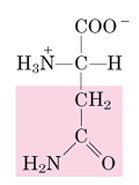 <p>N</p>