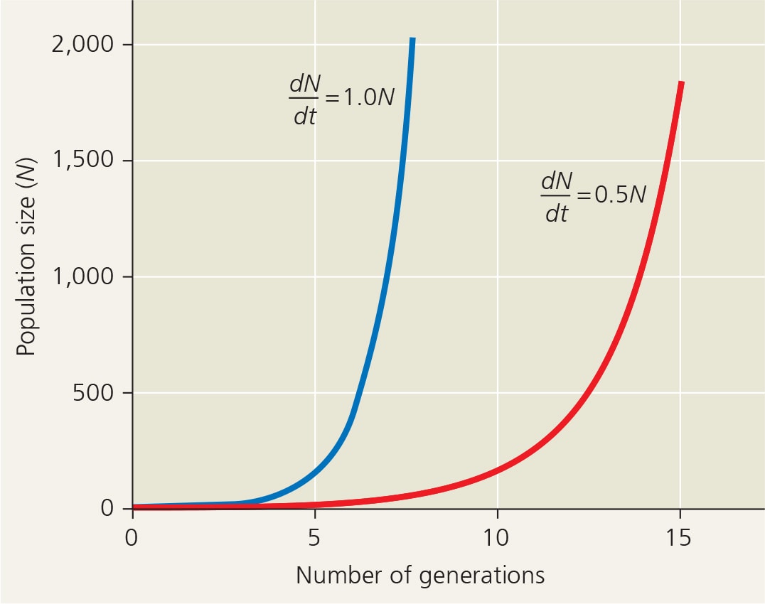 <p>Explain why the line with the value of 1.0 shows a steeper slope that reaches exponential growth more quickly than does the line with the value 0.5.</p>