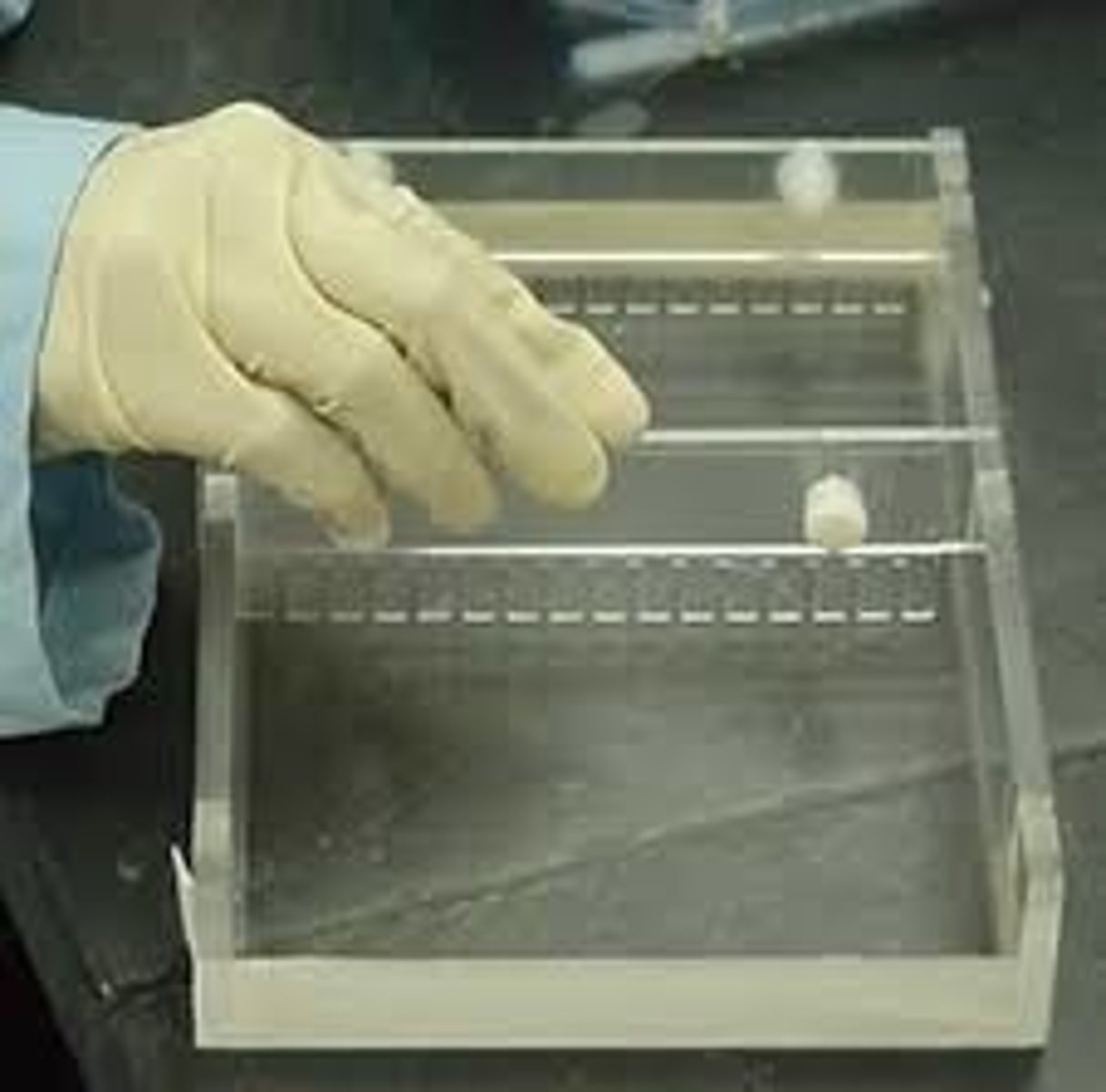 <p>Used to make the wells in the gel</p>