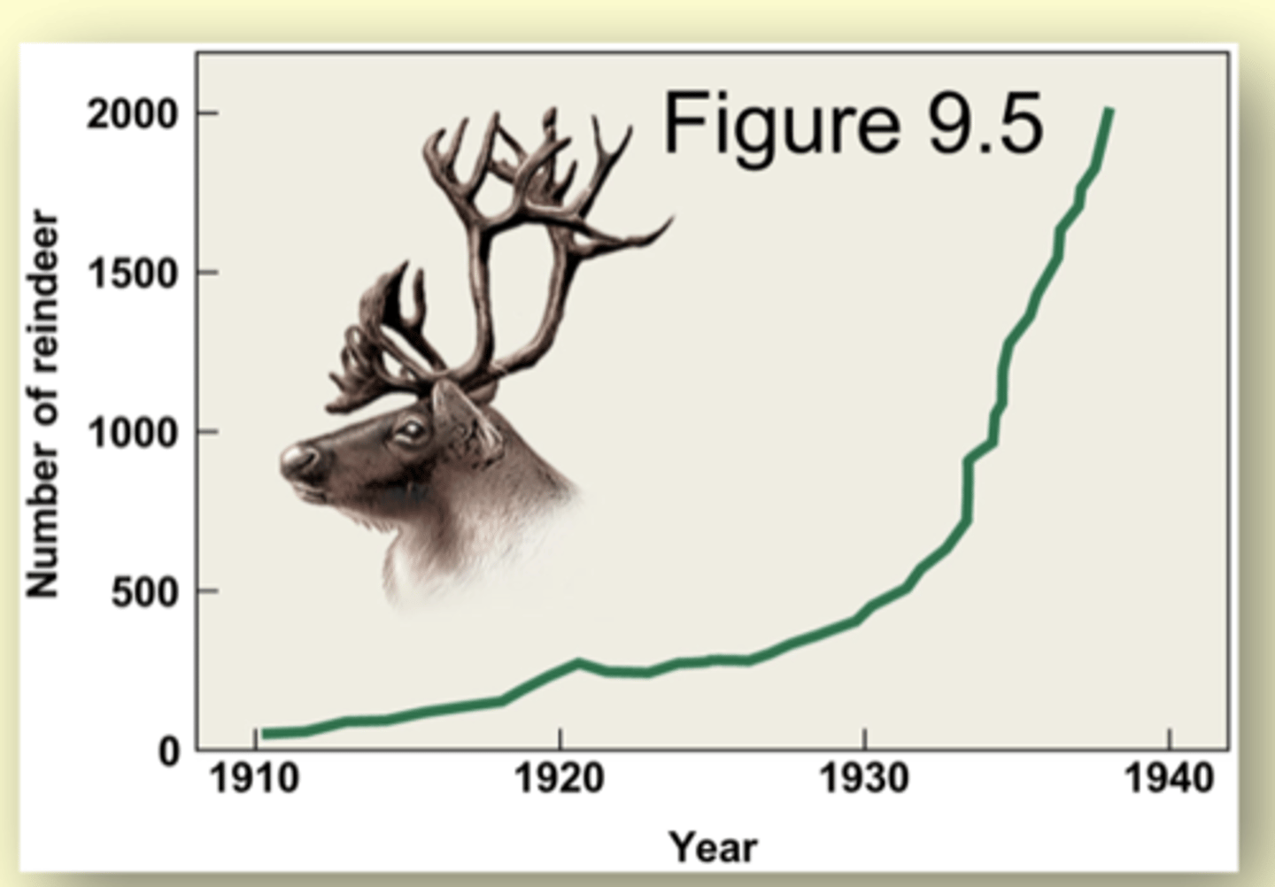 <p>In 1911, the United States government introduced 20 reindeer (4 males and 21 females) onto the island of St. Paul in the Pribilof Islands, Alaska.</p><p>The purpose of the introduction was to provide fresh meat for the native residents.</p><p>Within 30 years, the population grew to more than 2000 individuals.</p>