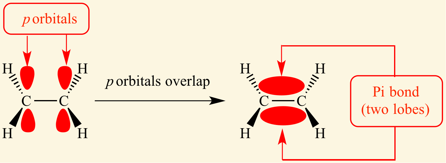 <p>pi </p><ul><li><p>the 2nd and 3rd bond in double and triple bonds are pi bonds </p></li></ul><p></p>
