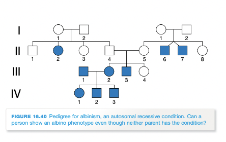 <p>both males and females are affected, two unaffected parents can have an affected child, all children of two affected parents will have the trait </p>