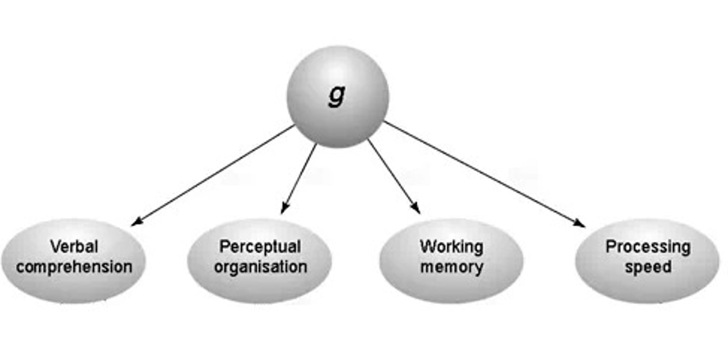<p>A general ability proposed by spearman as the main factor underlying all intelligent mental activity</p>