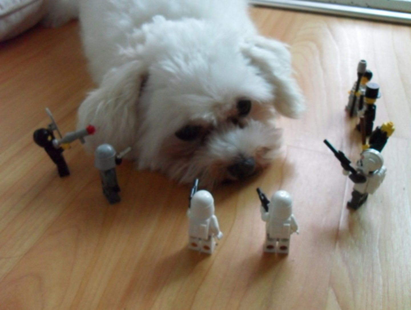 <p>(v.) To set upon from all sides; surround with an army; to trouble, harass SYN: besiege, encircle, pester</p>