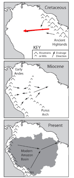 <p><span>It originally flowed west, but the rise of the Andes reversed its flow to the east.</span></p>