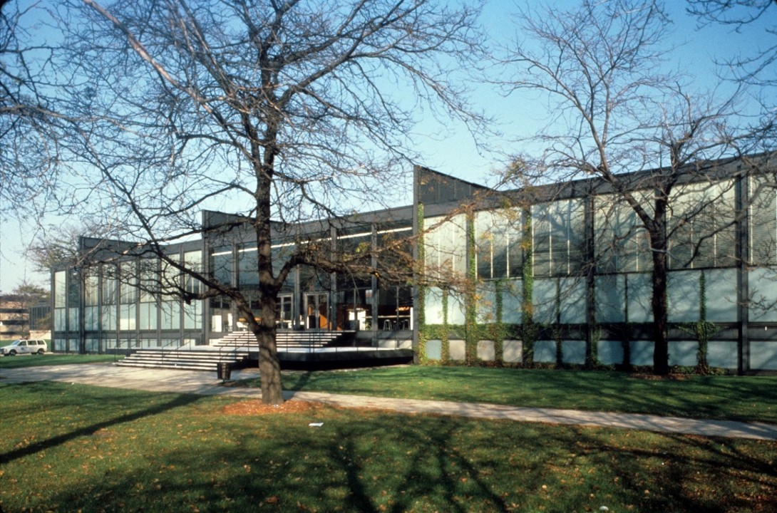 term image