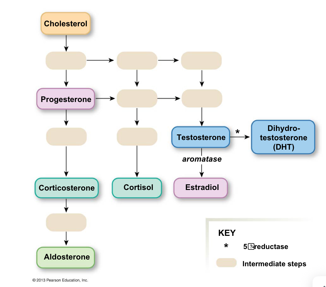 <ul><li><p></p></li></ul><p></p>