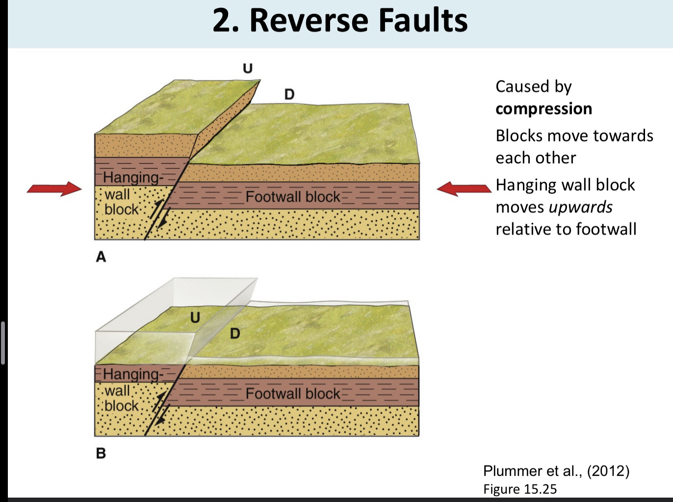 <p><strong>Compressional</strong> stress</p><p>Moves <strong>towards</strong> each other</p><p><strong>Hanging wall</strong> goes <strong><u>up</u></strong> <strong><em>foot wall</em></strong></p>