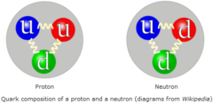 <p>Baryons: proton, neutron Antibaryons: antiproton, antineutron</p>