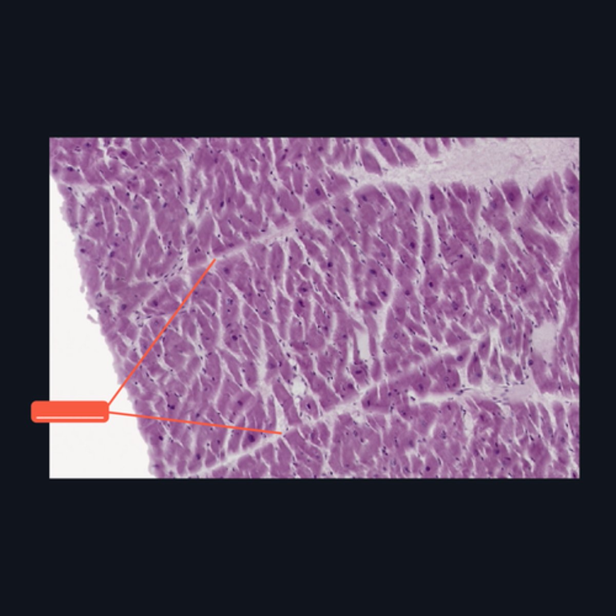 <p>Identify the structure</p>