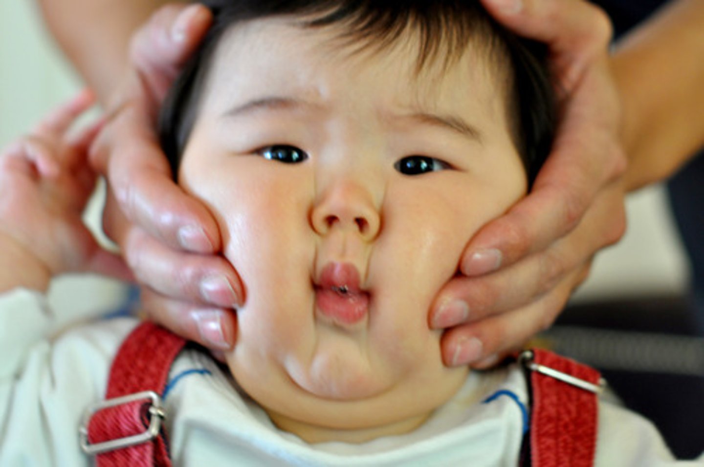 <p>cheek</p>