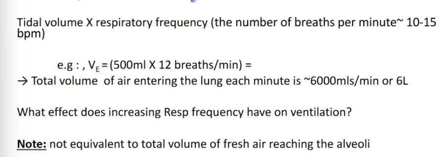 <p>Movement of air in and out of the lungs. </p><ul><li><p>The volume of air entering or leaving each minute is minute volume: Total Ventilation (Minute Ventilation, V<sub>E</sub>)</p></li></ul><p></p>