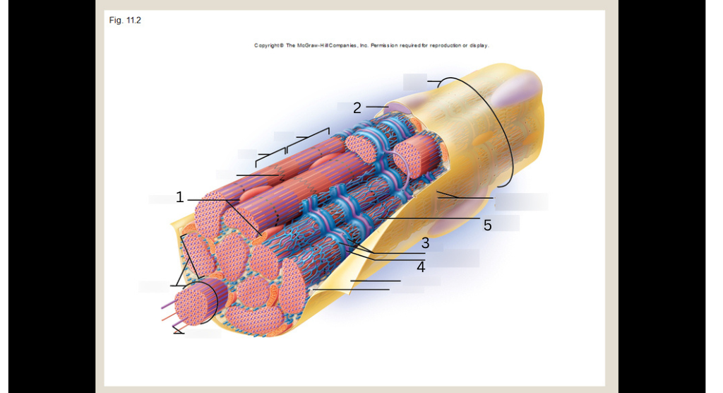<p>2</p>
