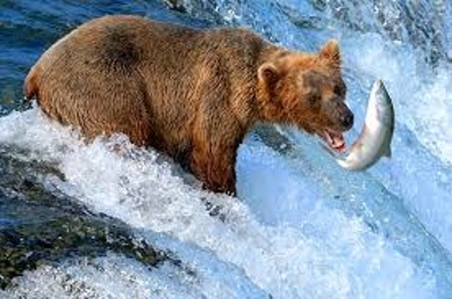 <p>Ocean currents, rip tides, sediment transfer, and evaporation.</p>