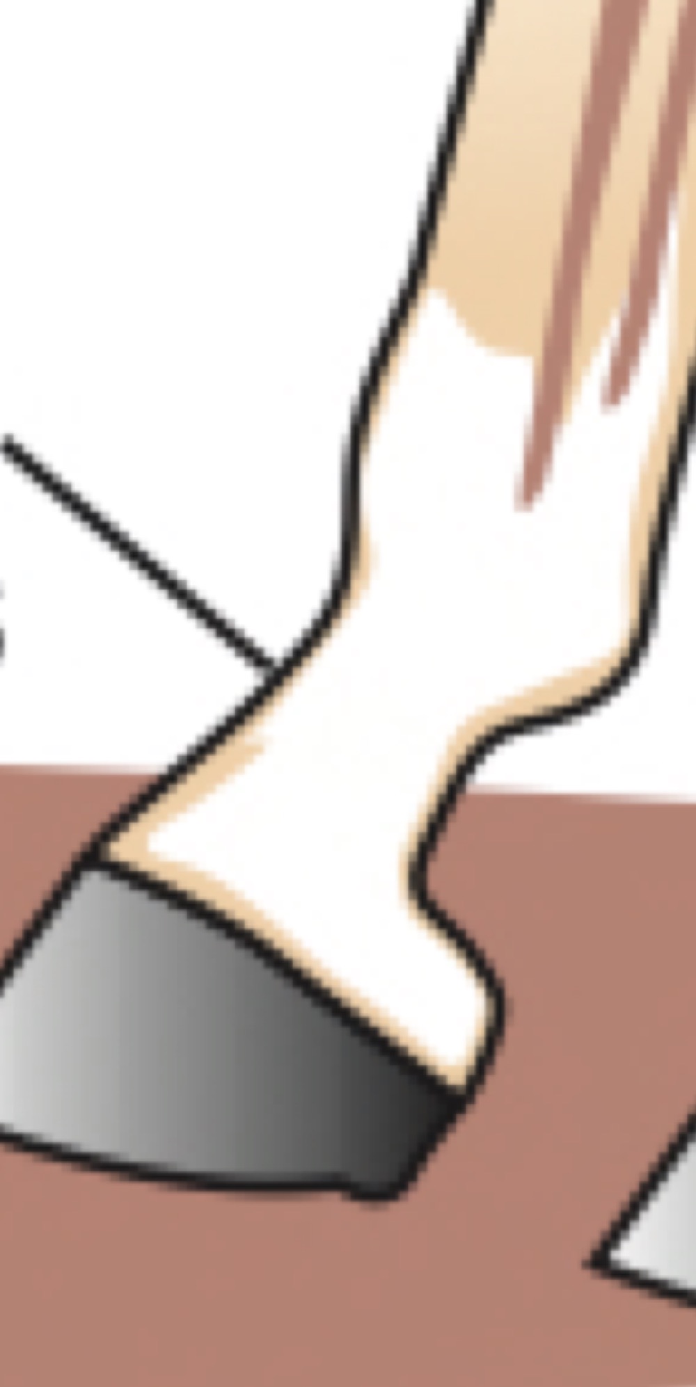 pastern