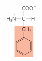 <p>What is this?</p>
