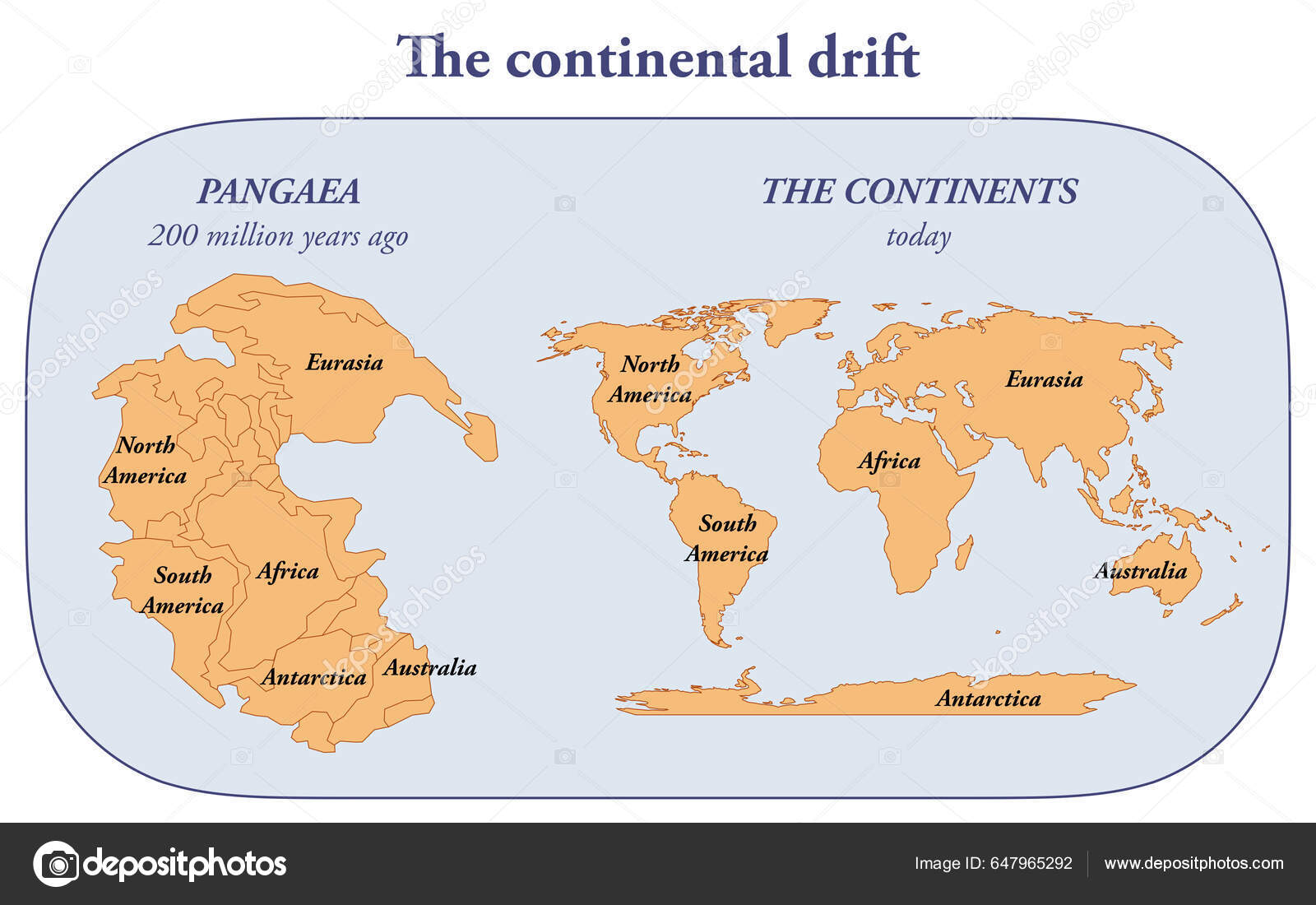 <p>continental drift: hypothesis that continents were mobile based on:</p><p>1) fit of continents</p><p>2) glaciations at low latitudes</p><p>3) Paleoclimate belts</p><p>4) fossil distribution</p><p>5) rocks matching across oceans</p>