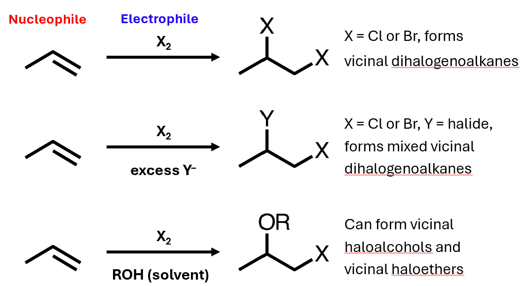 <p>Alkenes can act as nucleophiles, and halogens can add to them</p>