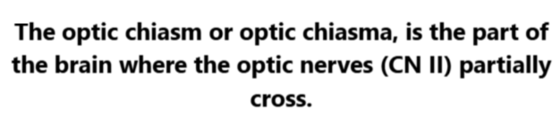 <p>A. Optic Chiasm</p>