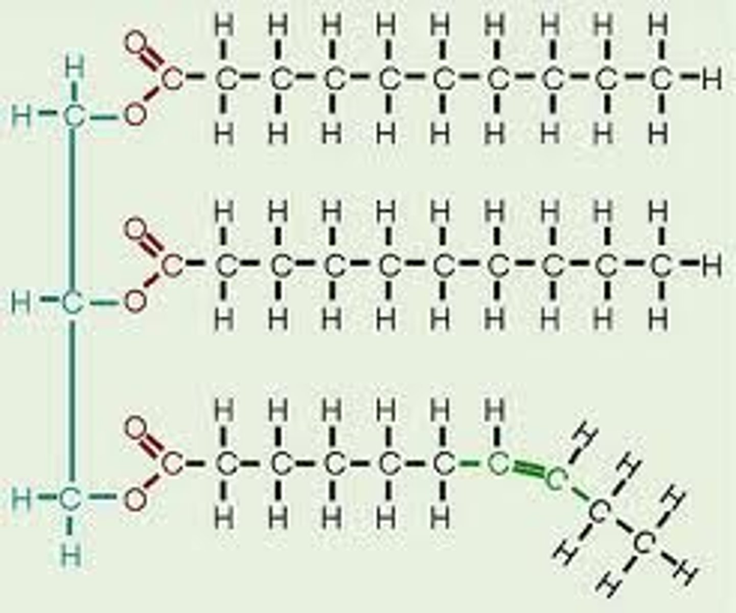 <p>Fats with one or more double covalent bonds, which is less likely to solidify and more flexible.</p>