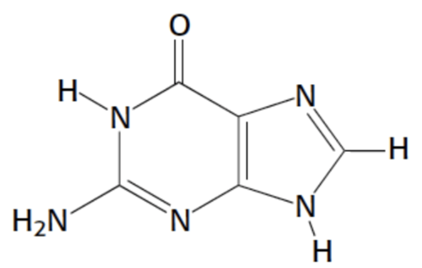 <p>Name this structure</p>