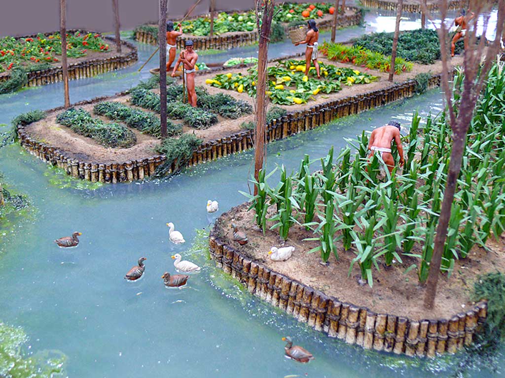 <p>floating gardens called <strong><em><em></em></strong><strong></em></strong>_ were constructed to enable farming in the swampy lake</p>