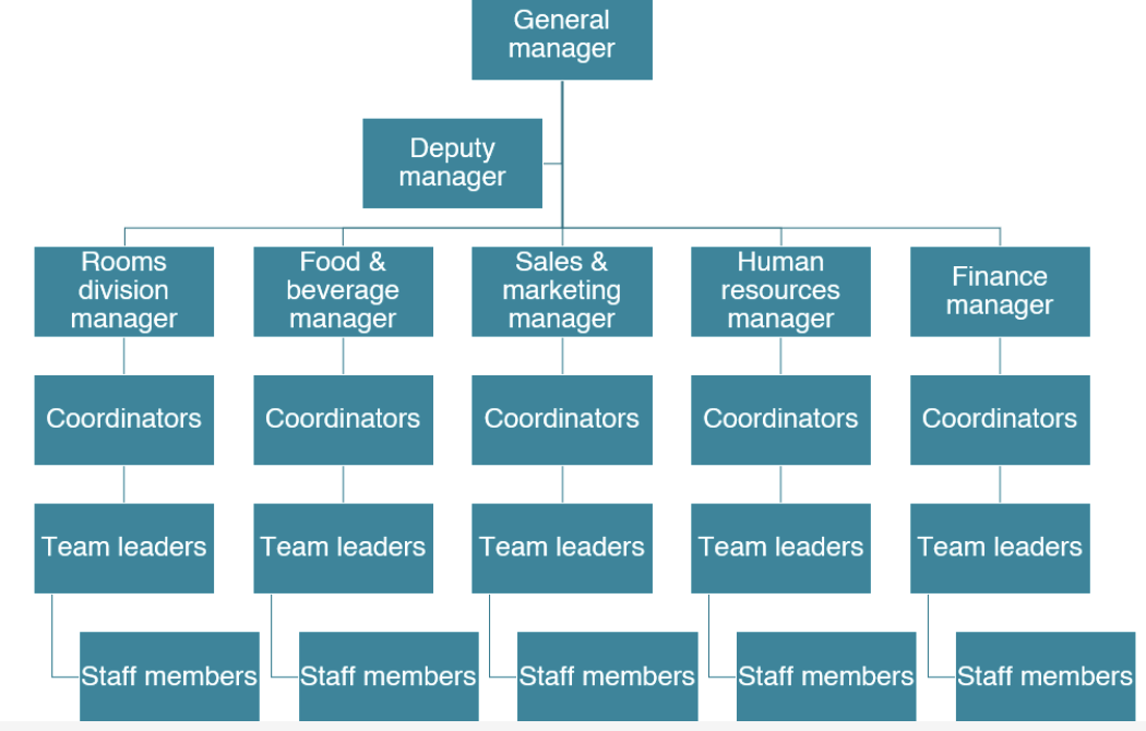 <p>Tall / vertical organization structure</p>