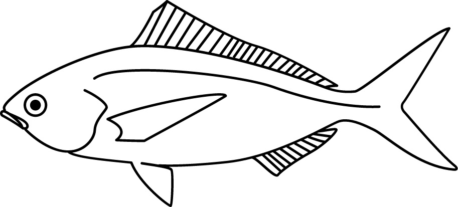 <p>Small mouth<br>Torpedo-shaped body<br>Deeply forked tail<br>Size: 20 cm</p>