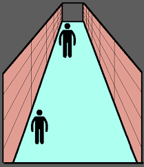 allows you the ability to determine the distance between you and an object and to perceive the world in three dimensions