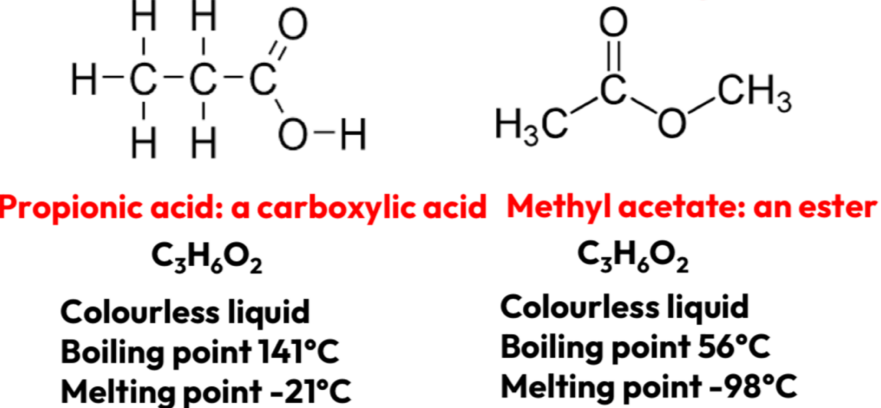 <ul><li><p>Isomers have the same molecular formula but different functional groups</p></li><li><p>Differing positions of atoms (rearranged) </p></li></ul><img src="blob:null/d9049fbe-9923-43ea-a3f7-3bb9fcc76080"><p></p>