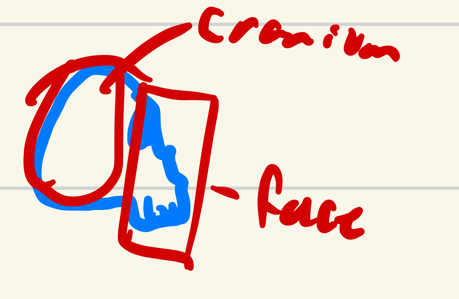 <p>the top, back, and sides of the skull</p>