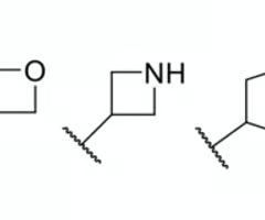 <p>which of the following heterocycles are prone to causing allergic rxns </p>