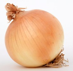 <p>an onion</p>