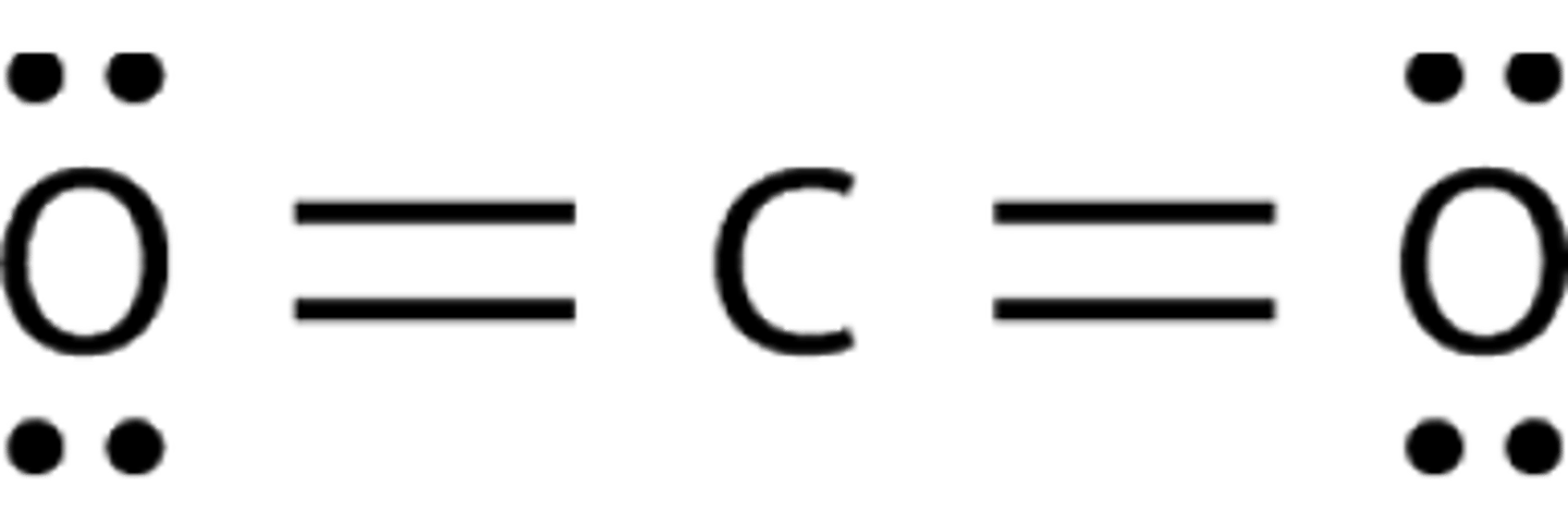 <p>Non polar; no dipole</p>