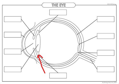 <p>What is the part in the diagram called?</p>