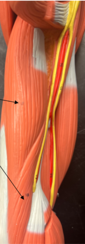 <p>what is 17, 18?</p>