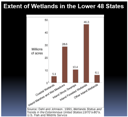 <ul><li><p class="Paragraph SCXW107120418 BCX0" style="text-align: left;"><span>There are many different types of wetlands&nbsp;</span></p></li></ul><ul><li><p class="Paragraph SCXW107120418 BCX0" style="text-align: left;"><span>Costal wetlands have experienced the least amount of loss, inland forested wetlands have experienced the most&nbsp;</span></p></li></ul><p></p>