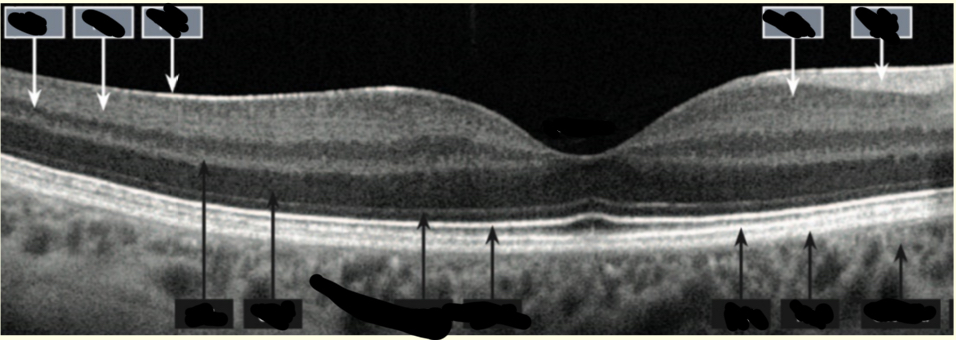 <p>Label this diagram</p>