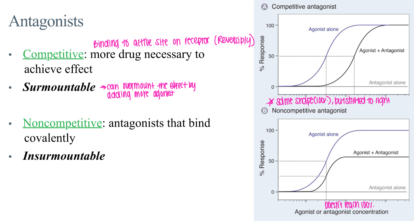 <p>comp: reverisbly bound to active site → surmountable (just incr drug conc!) </p><p>non-comp: COVALENTly bound → insurmountable </p>